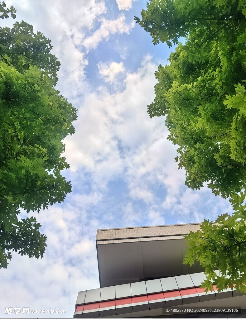 日系天空学校