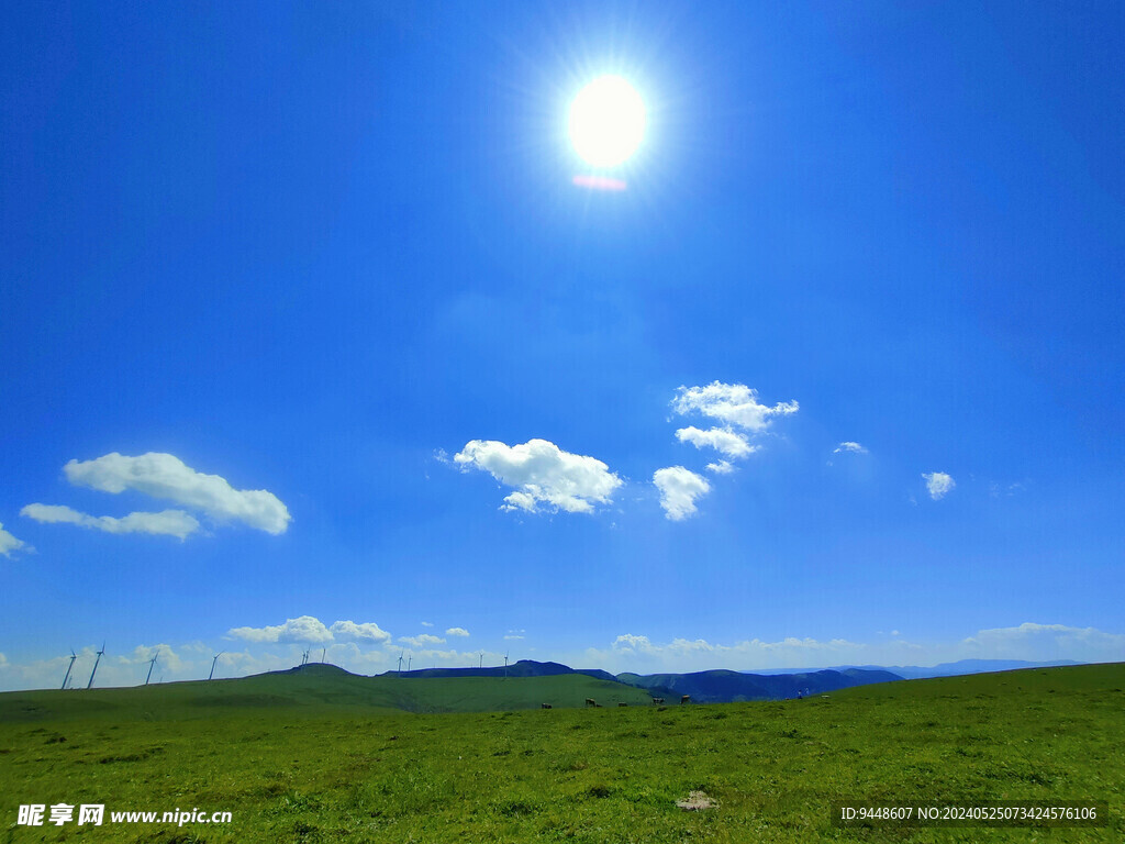 草原风景