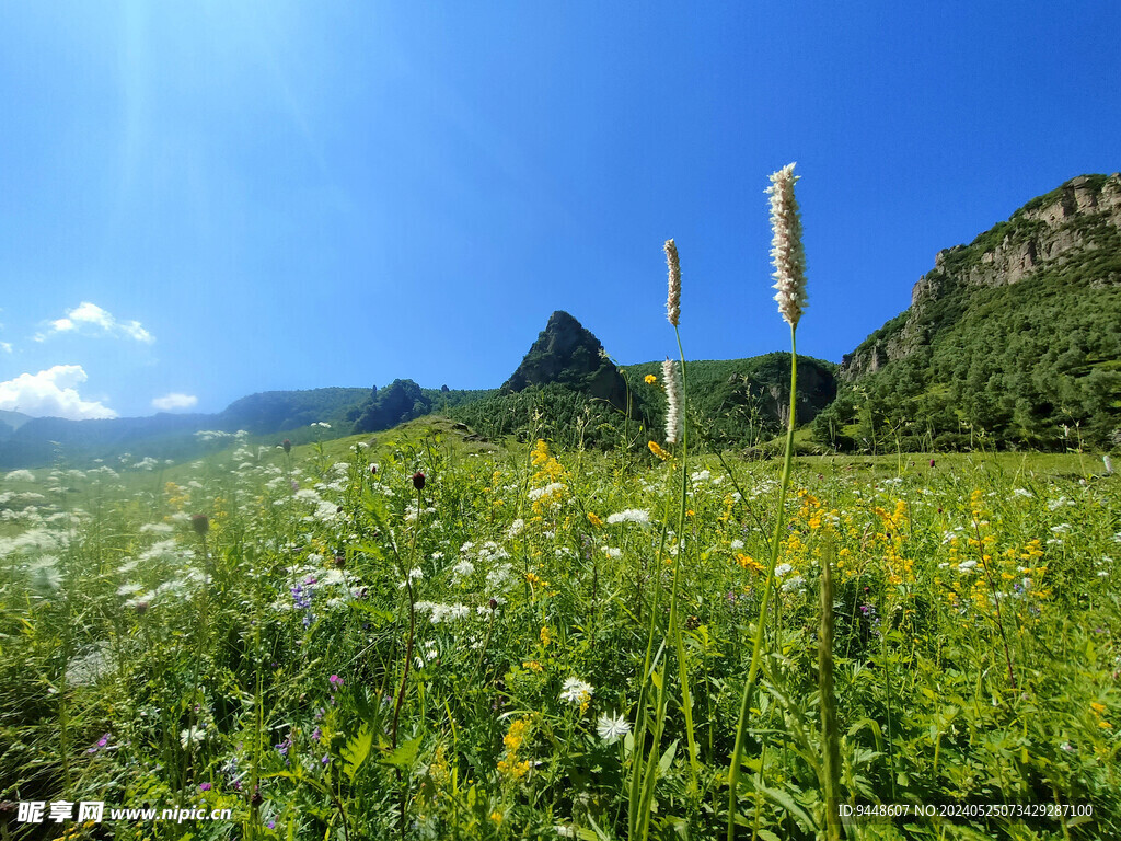 草原风景