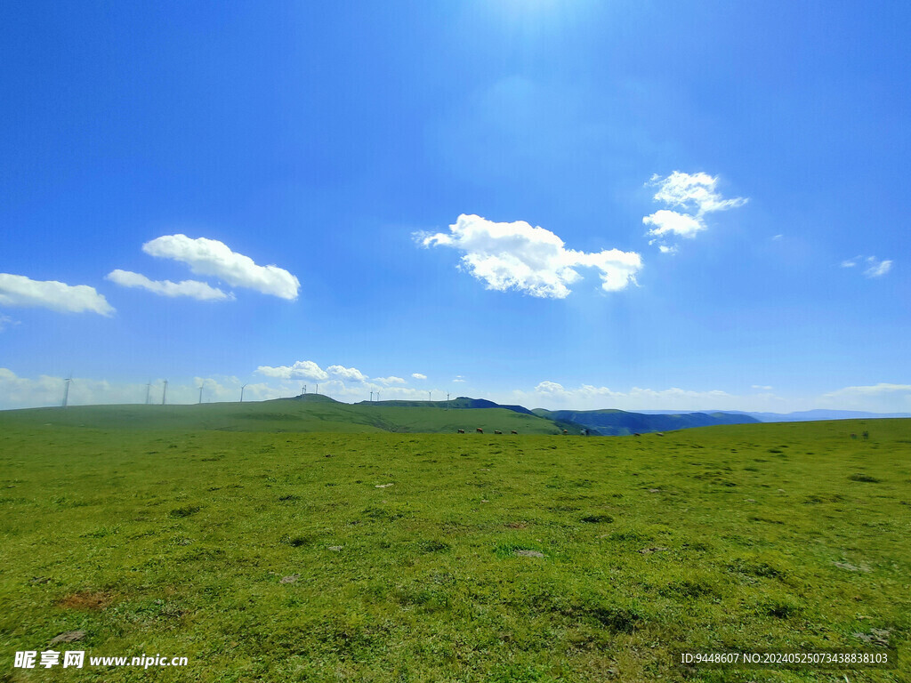 草原风景