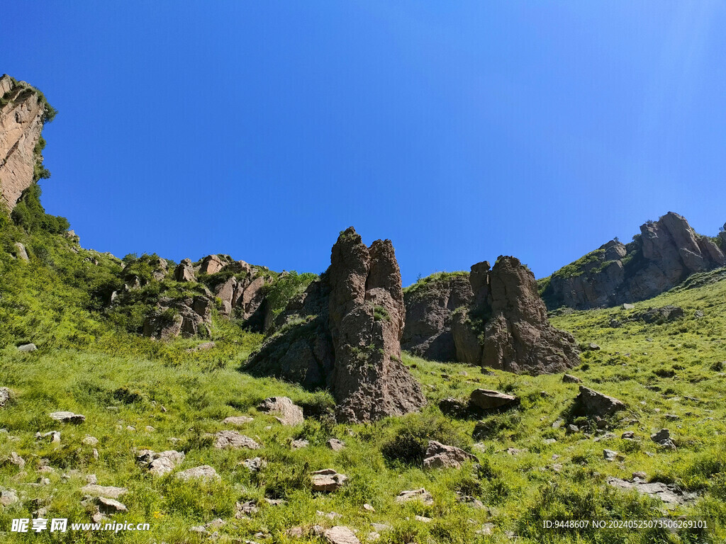 草原风景