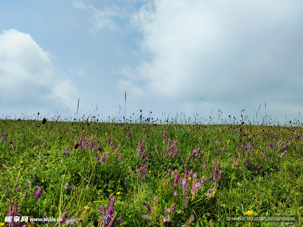 草原风景