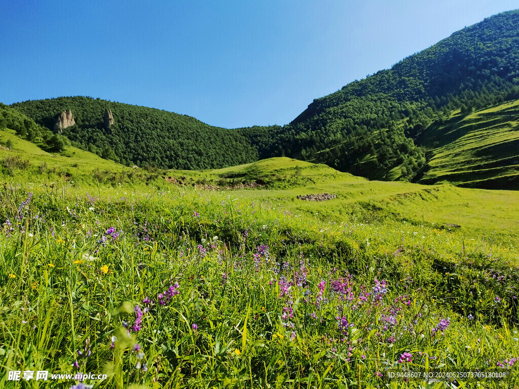 草原风景