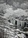 雪景