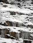 雪景