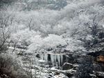 雪景