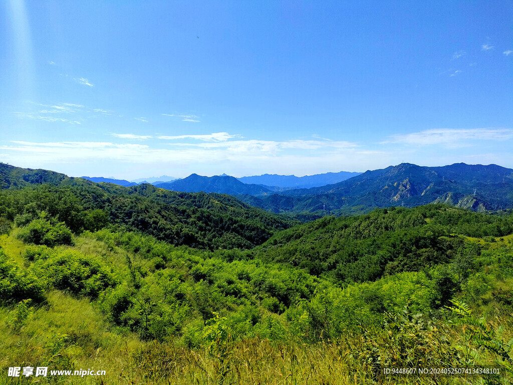 草原风景