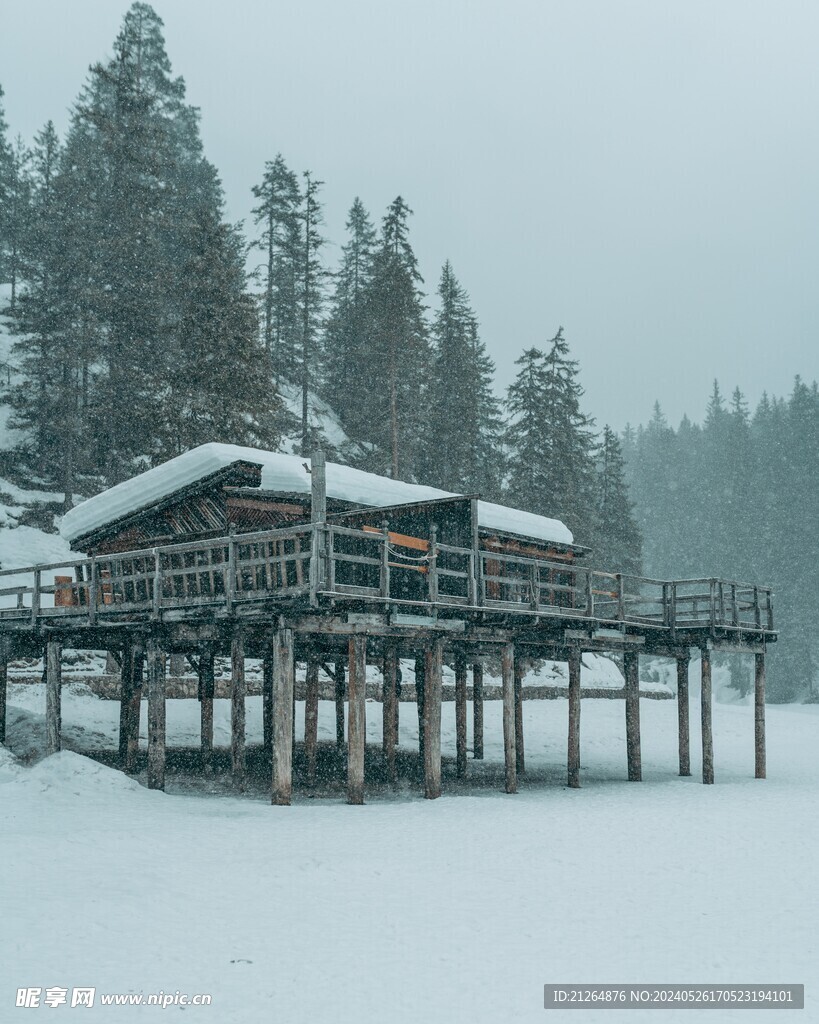 白色雪地 