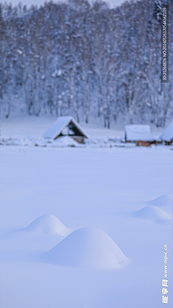 白色雪地