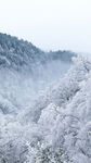 白色雪地