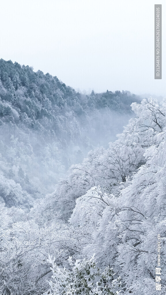 白色雪地