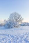 白茫茫的雪地