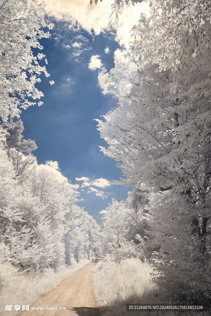 雪白的雪景 