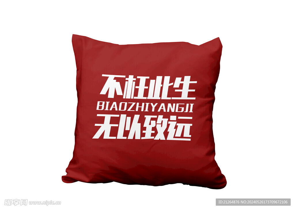 抱枕样机