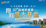 开盘背景板