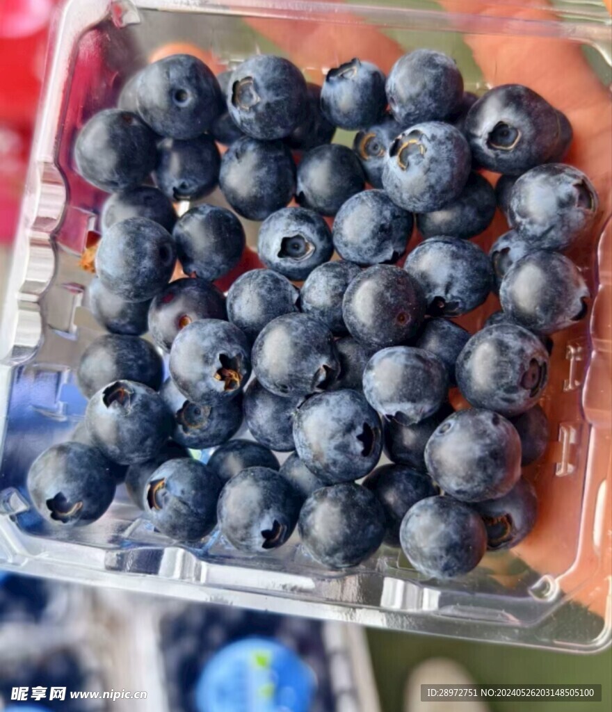蓝莓