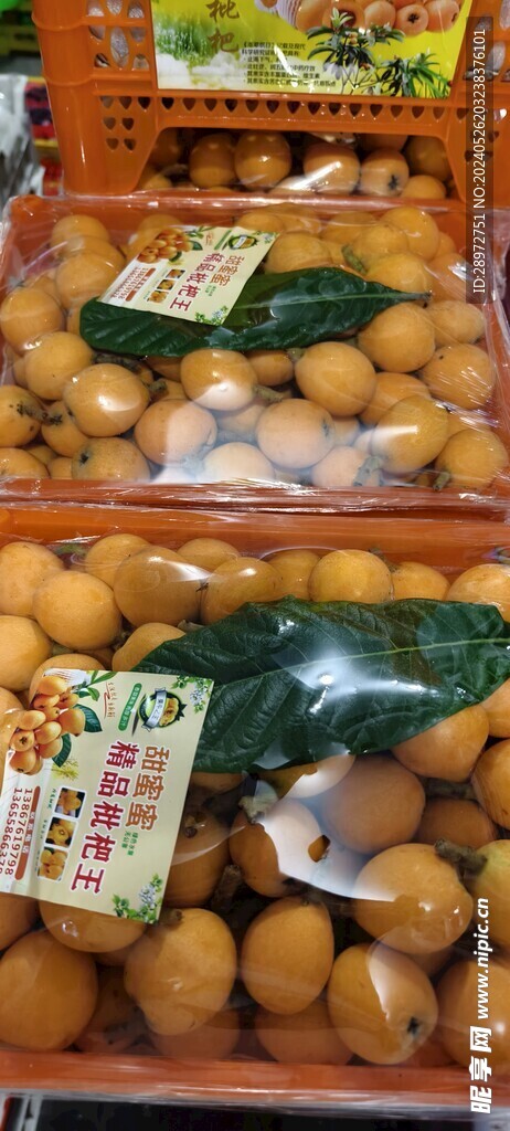 枇杷
