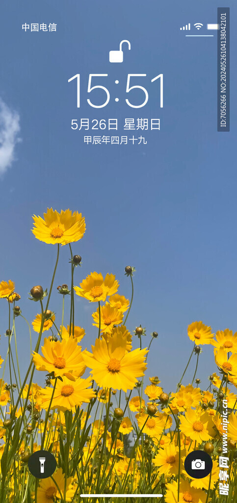 手机屏保   花花世界