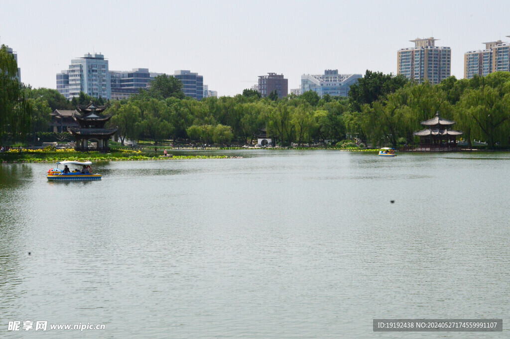 公园风景  