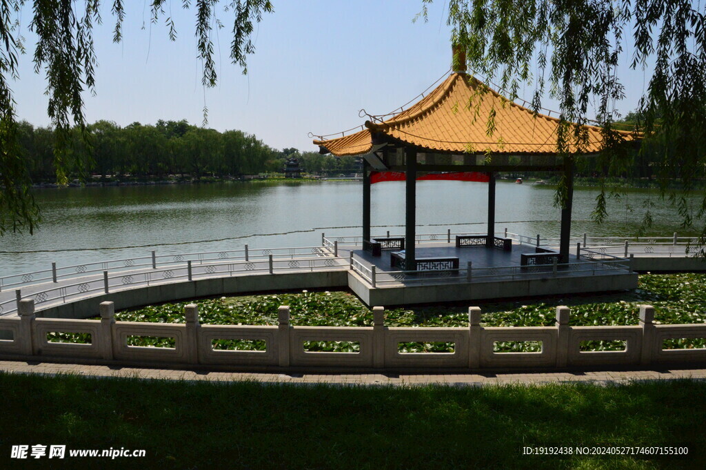 公园风景  