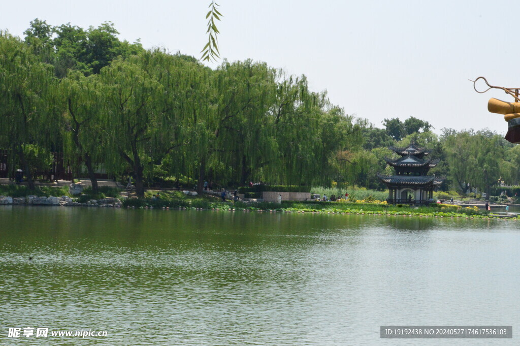 公园风景 