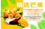 水果海报  