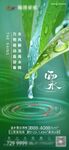 中国传统  24节气 雨水