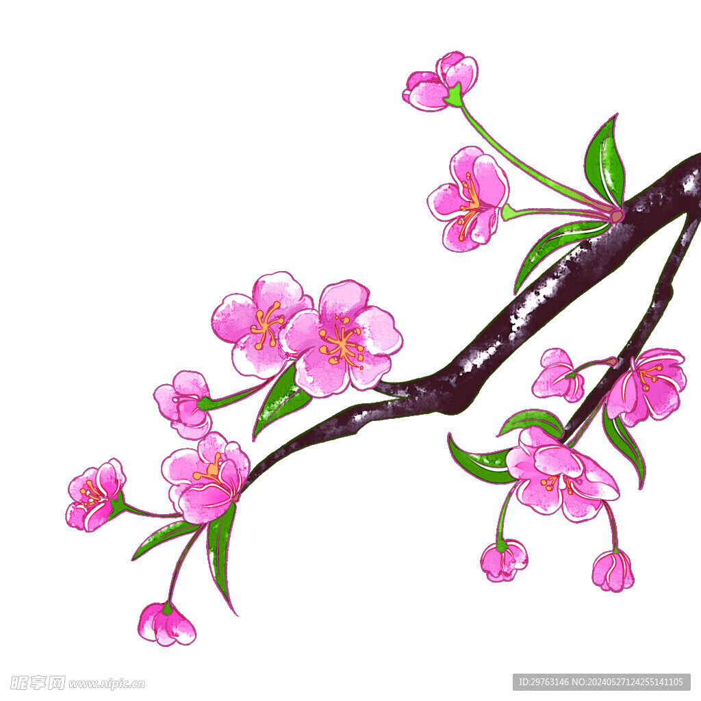 桃花