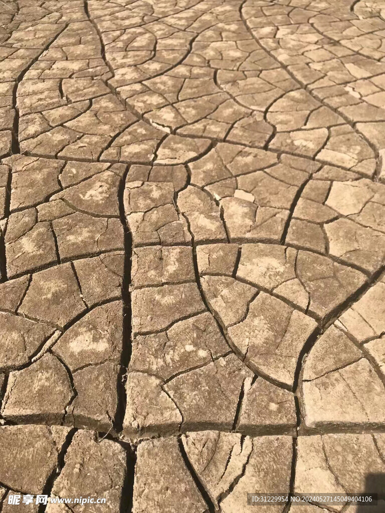 地裂