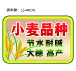 手举牌异形牌