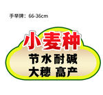 手举牌异形牌