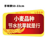 手举牌异形牌