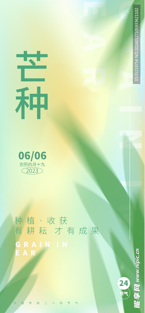 芒种