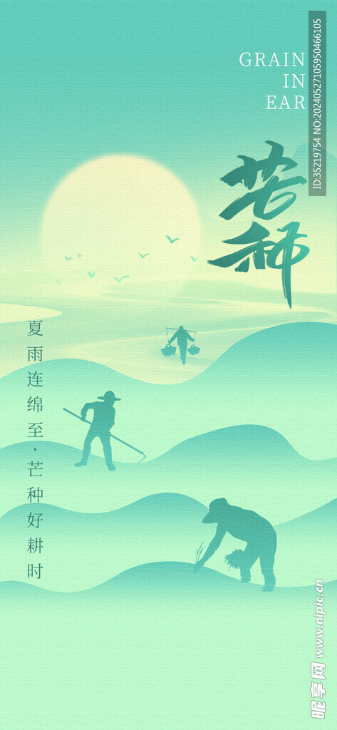 芒种