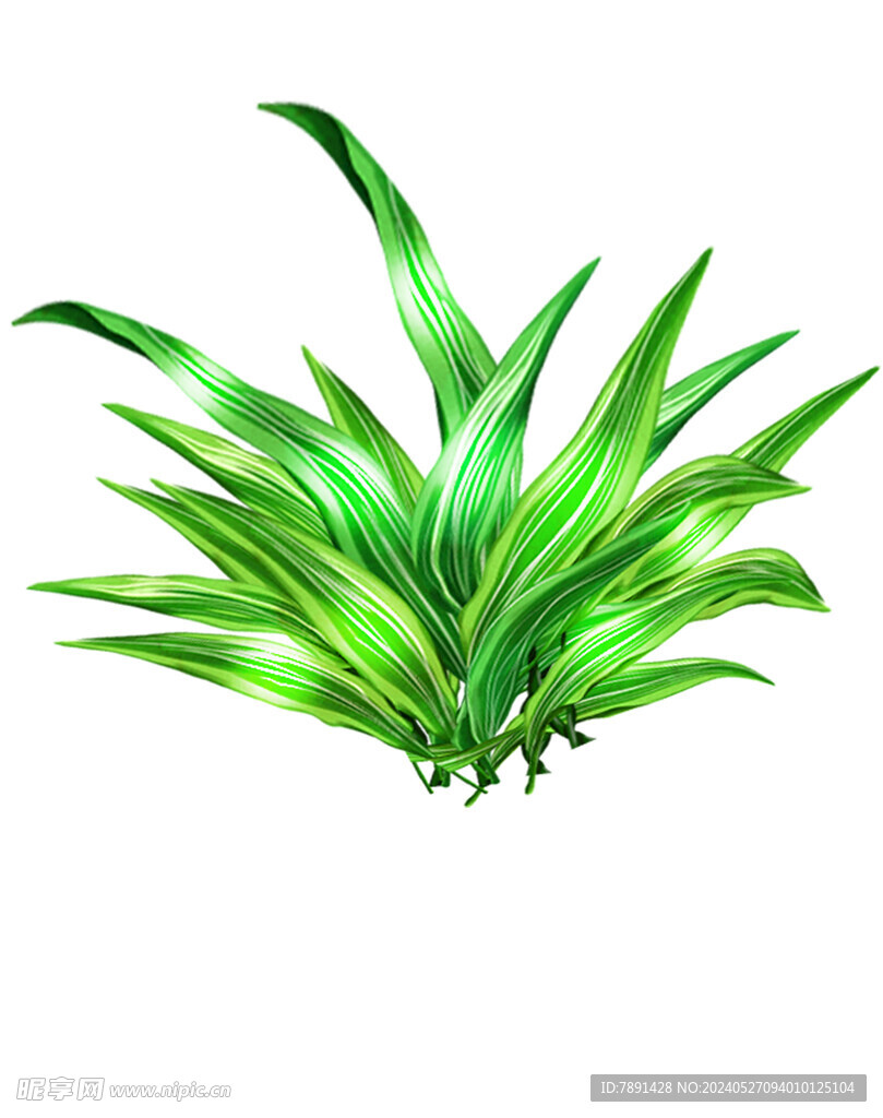 绿草  小草 国风草