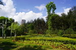 公园美景