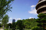 公园美景