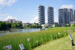 湖景高层
