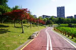 公园跑道