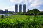 泉湖公园