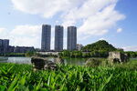 泉湖公园