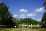 公园