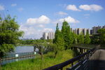 城市公园