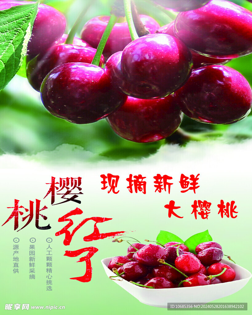 樱桃海报