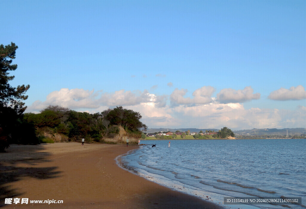 奥克兰海边风景