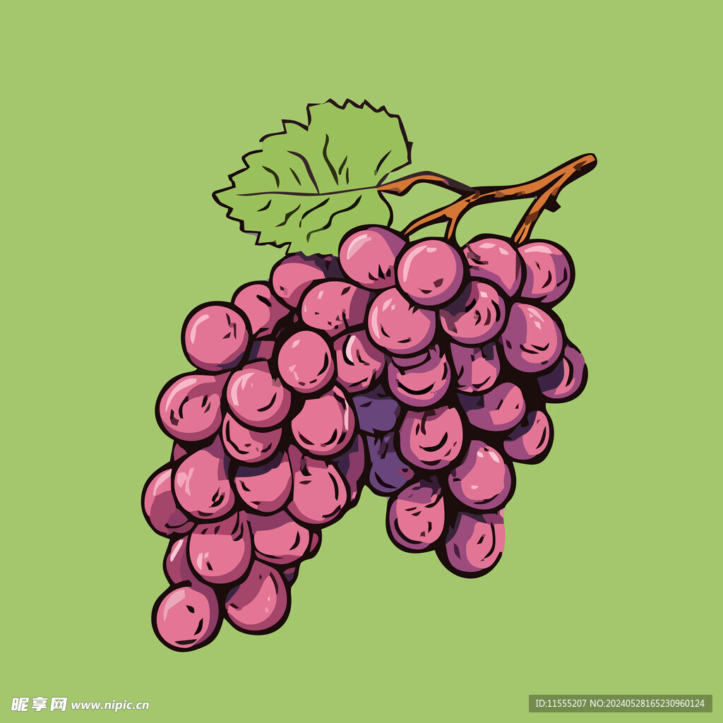 葡萄水果手绘矢量插画