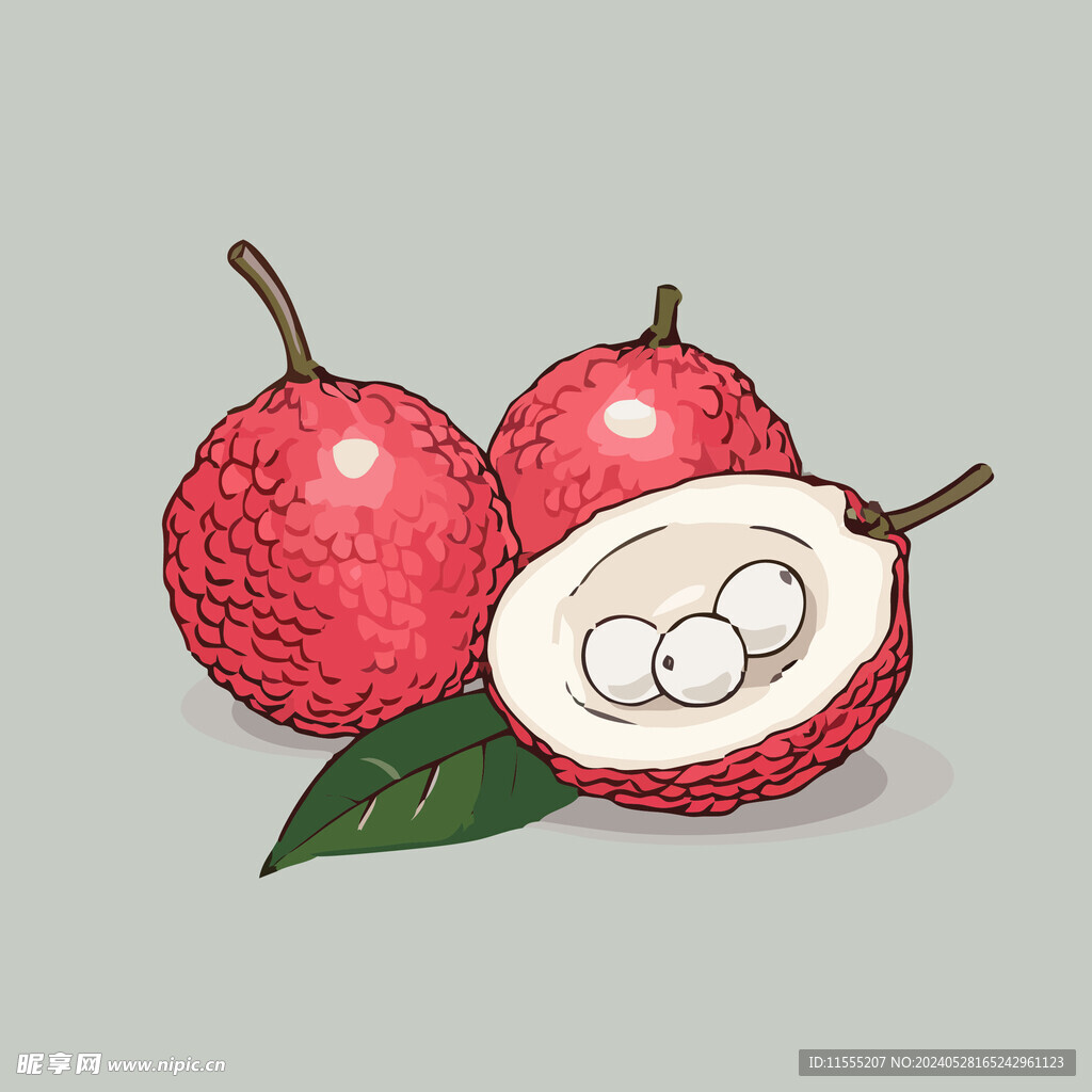 荔枝水果手绘矢量插画
