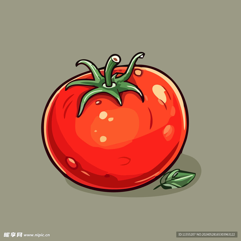 西红柿蔬菜手绘矢量插画