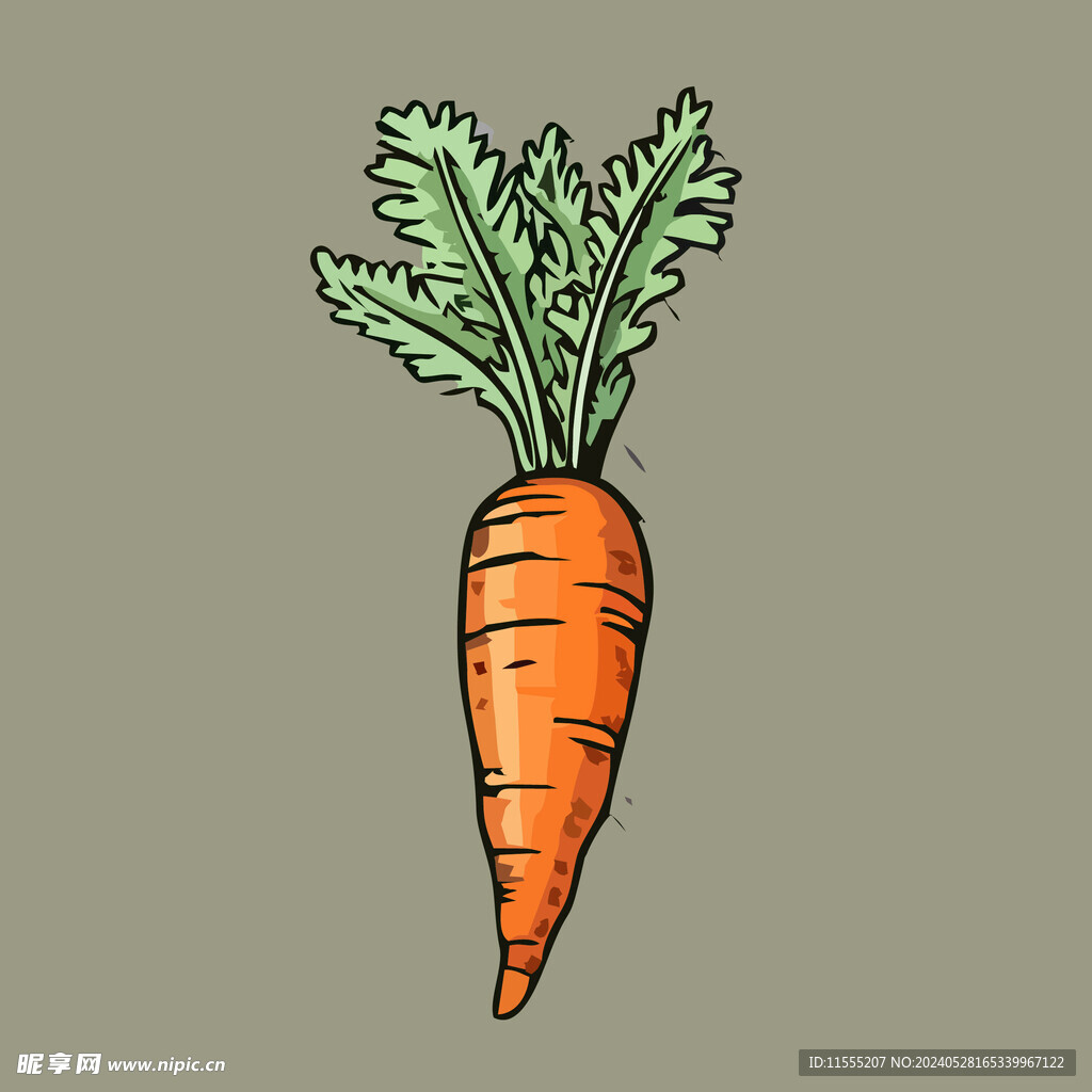 胡萝卜蔬菜手绘矢量插画