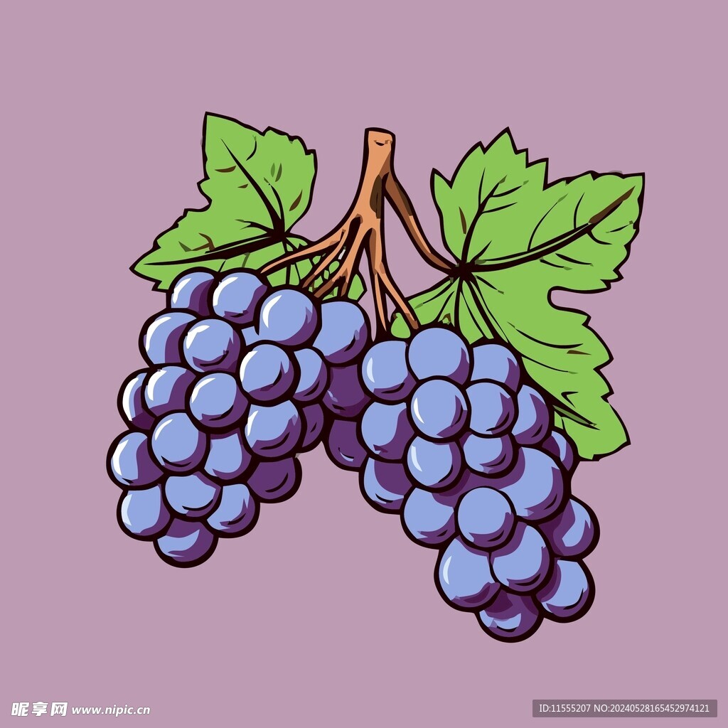 葡萄水果手绘矢量插画